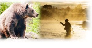 colajajvps - 2.200 de lei – taxa de membru AJVPS în 2025