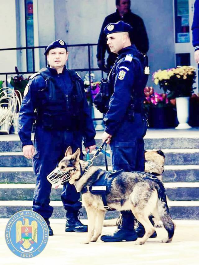 Peste 11.000 de misiuni pentru jandarmii argeșeni în 2024 1 misiune jandarmi - Peste 11.000 de misiuni pentru jandarmii argeșeni în 2024