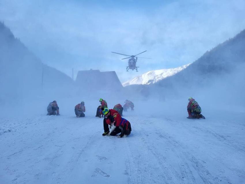 salvatori montani și câinii lor