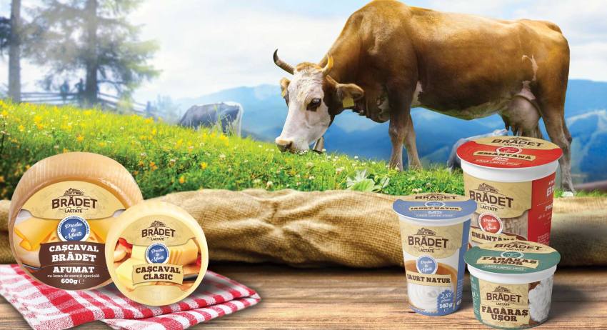 Lactate Bradet 1 - Călin Badea. Abilitatea de a se reinventa în fața provocărilor face diferența între cei care rezistă și cei care prosperă   