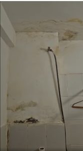 cats 1 - Bătrâni tratați cu medicamente expirate și ținuți în mizerie