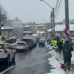 Sursă foto: FB Primăria MUnicipiului Pitești.