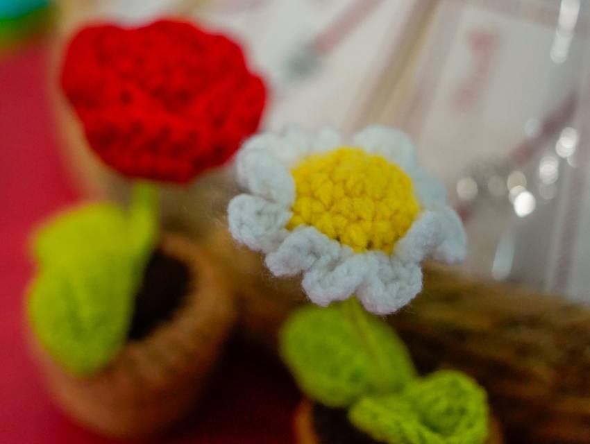 Sursă foto: CJ Argeș.