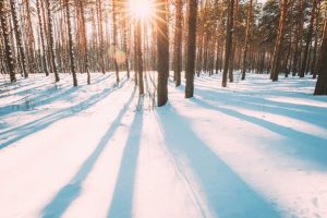 PTE3MWJmODUyOWU2MDljMjkyOGVmNTExNGNjYzgzNjgx.thumb - De la ger, la temperaturi de primăvară! Prognoza meteo pentru următoarele 4 săptămâni