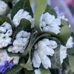 Sursă foto: FB Primăria Municipiului Pitești.