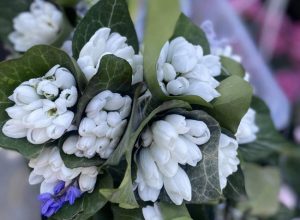 Sursă foto: FB Primăria Municipiului Pitești.