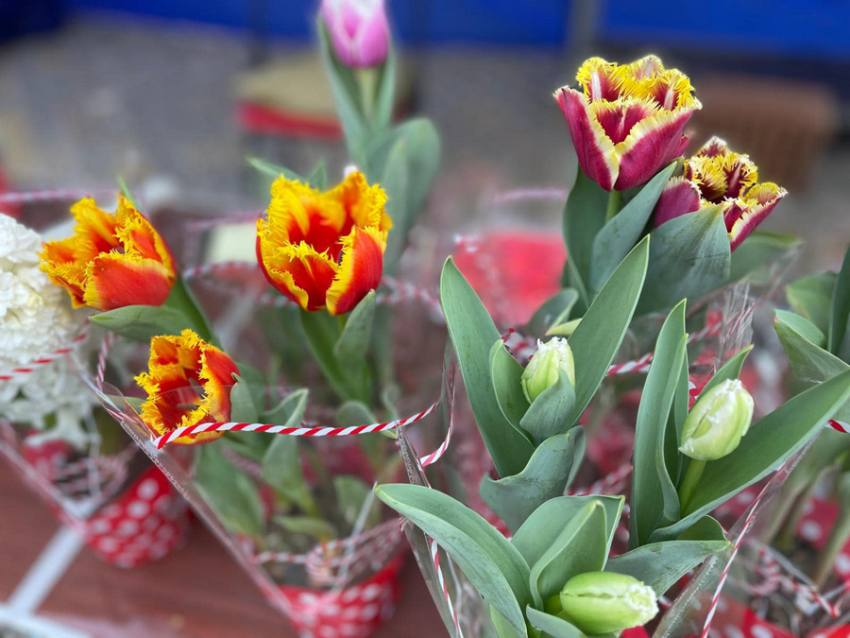 Sursă foto: FB Primăria Municipiului Pitești.