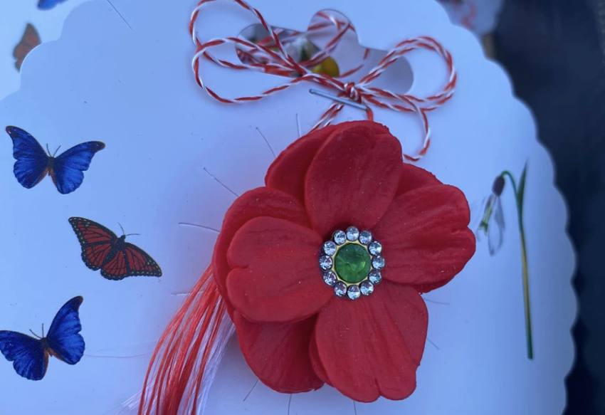 Sursă foto: FB Primăria Municipiului Pitești.