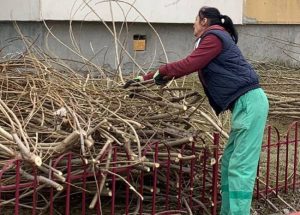 Sursă foto: FB Primăria Orașului Mioveni