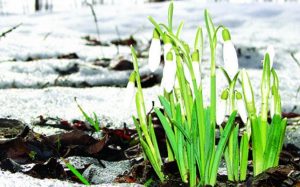 temperaturi anormale romania pana 15 ianuarie 2024 surprize meteo 18875256 - Cum va fi vremea în luna martie