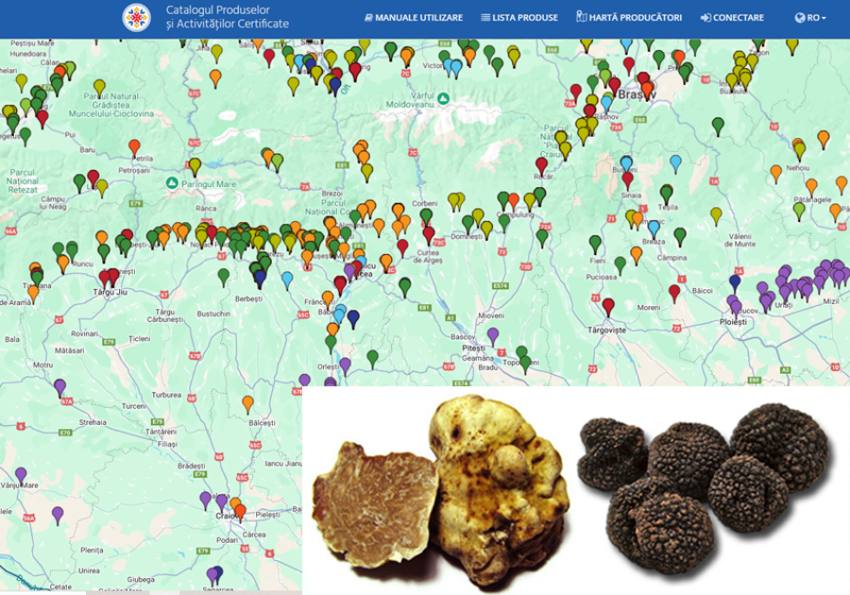 trufe albe si negre 1 Sursă foto: screenshot CPAC și stiriagricole.ro.