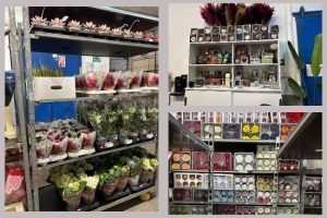 controale amenzi flori