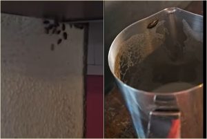(VIDEO) Berăria H, închisă temporar și amendată cu 30.000 de lei! ANPC a găsit gândaci și produse expirate 1 page 2 - (VIDEO) Berăria H, închisă temporar și amendată cu 30.000 de lei! ANPC a găsit gândaci și produse expirate
