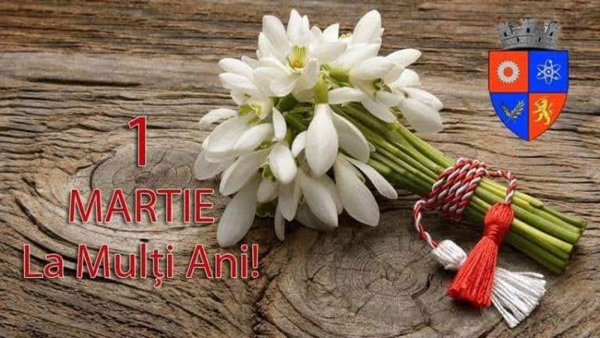 primaruia mIoveni deschidere 1 Sursă foto: FB Primaria MIoveni