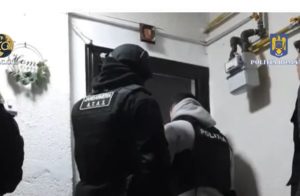 cats - (VIDEO) Permise și cărți de identitate false vândute pe internet! Descinderi în Argeș și în țară