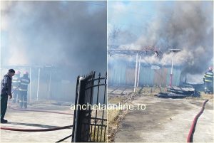 cats 3 - (VIDEO) Incendiu violent în Băbana! Flăcările au cuprins acoperișul unei case și 2 anexe