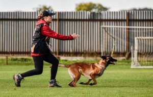 Sursă foto: FB Primăria Orașului Mioveni.