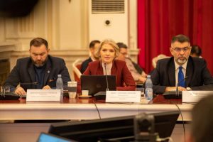 Sursă foto: FB Alina Gorghiu.