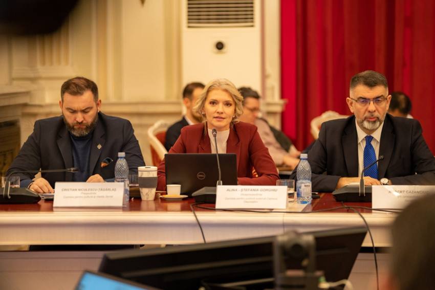 dezbatere senat droguri1 Sursă foto: FB Alina Gorghiu.