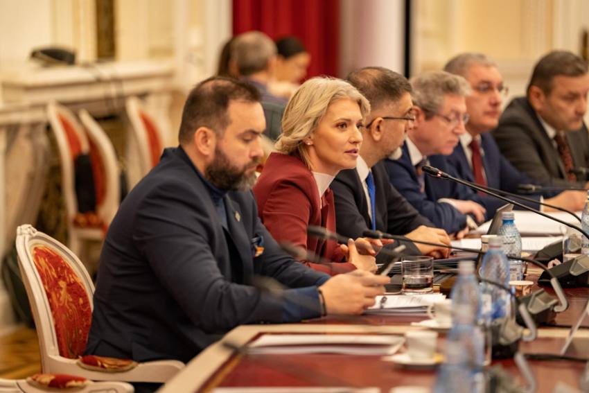 Alina Gorghiu: ”Nu există nicio persoană în închisoare pentru că a luat Nurofen și s-a urcat la volan!” 2 Sursă foto: FB Alina Gorghiu.