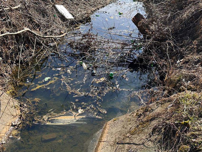 Sursă foto: Primăria Municipiului Pitești