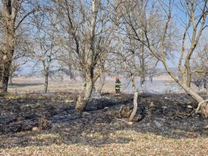 Primăria Mioveni avertizează: nu ardeți vegetația! Riscul de incendiu și sancțiunile sunt mari 1 Sursă foto: FB Primăria Orașului Mioveni.