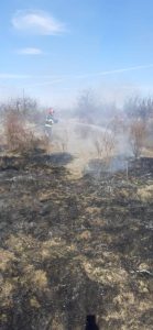 6c203b37 e091 4a87 8767 cc44cc4b5f53 - 7 incendii de vegetație în Argeș