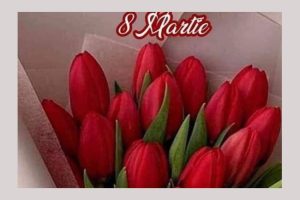 8 martie