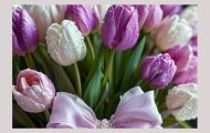 8 martie
