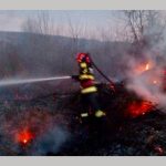 incendiu vegetatie uscata Argeș