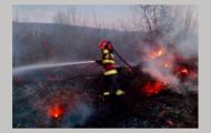 incendiu vegetatie uscata Argeș