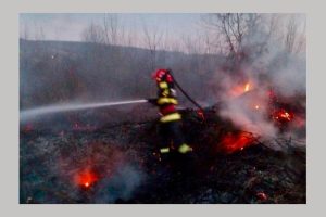 Incendiu de vegetație în Mihăești 1 incendiu vegetatie uscata Argeș