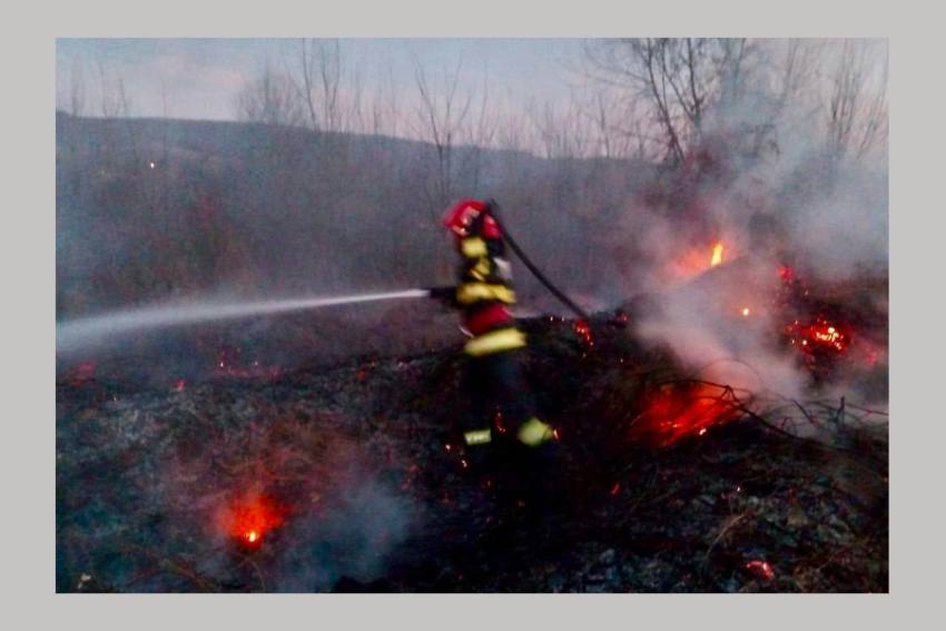incendiu vegetatie uscata Argeș incendiu vegetatie uscata Argeș