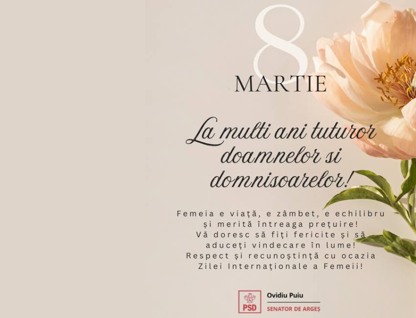 senatorul ovidiu pui