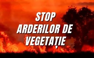 297bbddc 775e 45bf 823a 0acde3a02786 - Creștere alarmantă a incendiilor de vegetație! Peste 9.500 de hectare de teren afectate