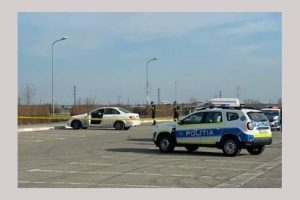 barbat injunghiat auto