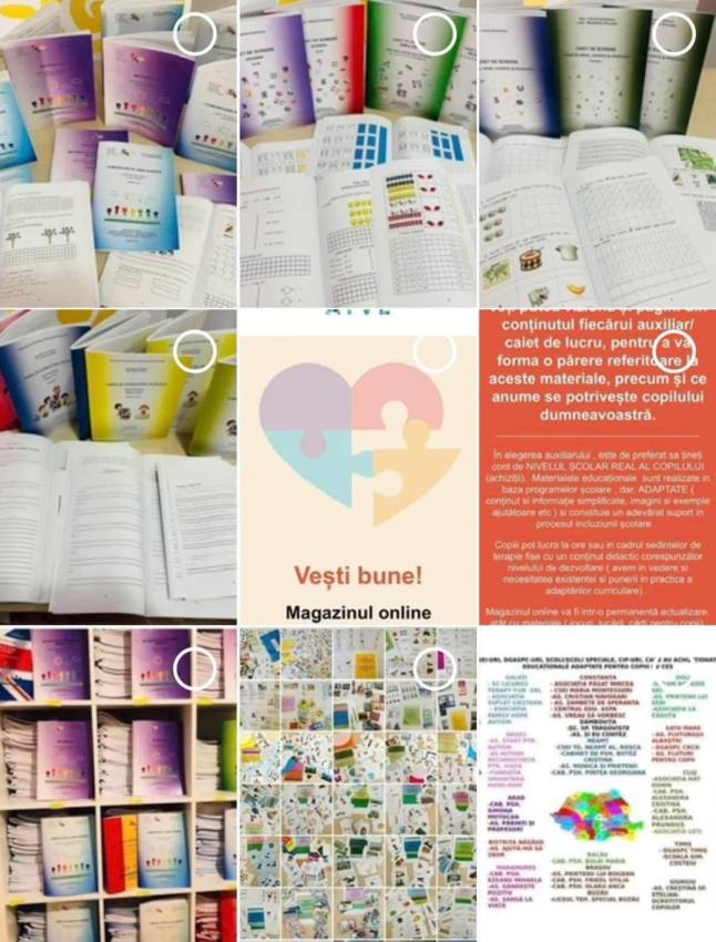 proiect 2 - Ana – Florina Dumitrescu. Feminitatea nu este o limitare, ci un atu în domeniul social