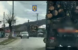 cats 1 - Transport ilegal de lemne în Argeș! Autocamioane în valoare de 43.000 de euro, confiscate