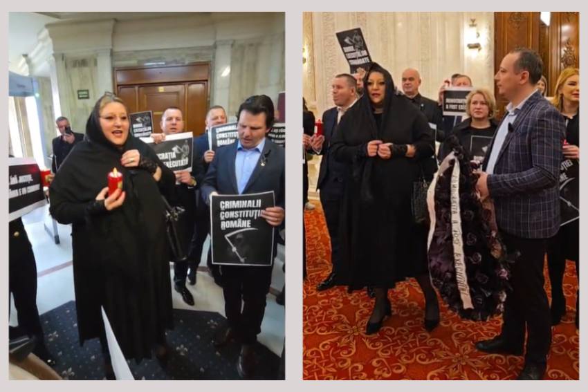 Șoșoacă la CCR Șoșoacă la CCR