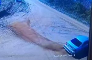 cats2 - (VIDEO) Tânărul care a făcut drifturi în Cocu, amendat și lăsat fără permis
