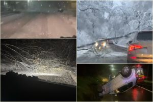 Trafic dat peste cap în Argeș din cauza ninsorii! Copaci căzuți și accidente 1 cats - Trafic dat peste cap în Argeș din cauza ninsorii! Copaci căzuți și accidente