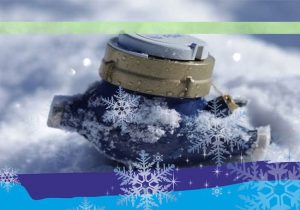 Sursă foto: FB S.Ed.C Mioveni