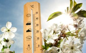 cats 1 - Cum va fi vremea în următoarele 4 săptămâni