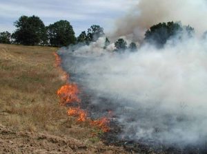 480966791 1096304855860829 3765272024095661509 n - Incendiu de vegetație în Mihăești