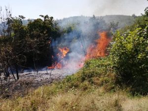 480966986 1096304782527503 1590187392413503667 n - Incendiu de vegetație în Mihăești