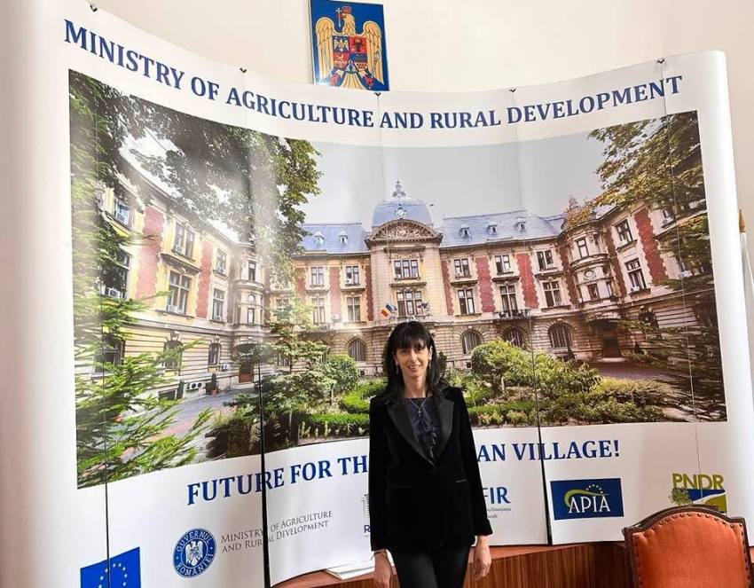 Larisa Vlăsceanu. Viziunea este cea care ne diferențiază – nu mă limitez la obiective pe termen scurt, ci privesc mereu înainte! 3 Larisa Vlăsceanu