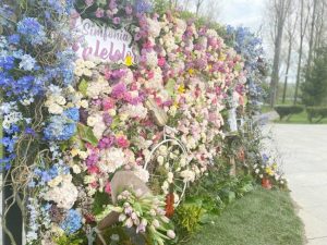 11-13 aprilie, weekendul în care Piteștiul devine capitala florilor 18 simfonia lalelelor - 11-13 aprilie, weekendul în care Piteștiul devine capitala florilor