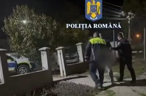 Femeie de 79 de ani, violată de un consătean de 45 de ani 1 cats 2 - Femeie de 79 de ani, violată de un consătean de 45 de ani