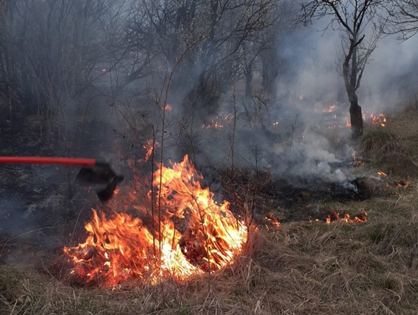 Incendiu de vegetați