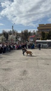 79ec992d 44e9 4e13 bee3 afcabe584ecc - Avansări în grad și porți deschise la IPJ Argeș de Ziua Poliției